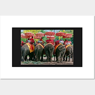 Elephants Posters and Art